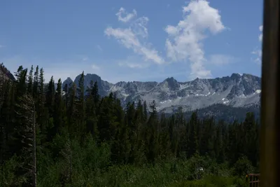 DSC_3165 (Large).JPG